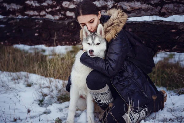 公園でシベリアン ハスキー犬と一緒に女性ハイカー — ストック写真