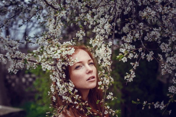 Krásná Šťastná Mladá Žena Rudými Vlasy Líbí Vůně Zahradě Kvetoucí — Stock fotografie