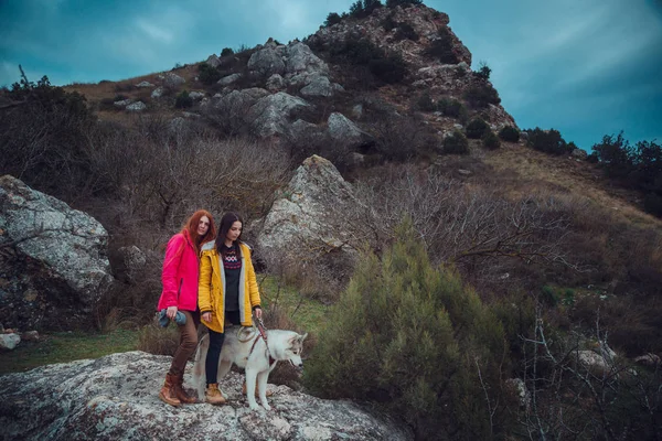 Le chien husky en plein air avec des filles heureuses — Photo