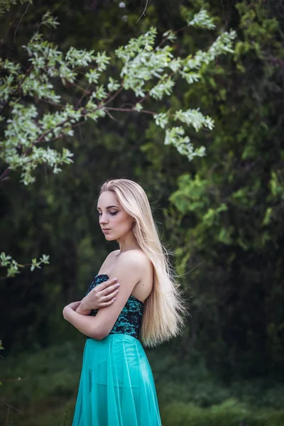 Prinzessin Junge Schöne Hübsche Frau Posiert Einem Sonnigen Sommertag Einem — Stockfoto