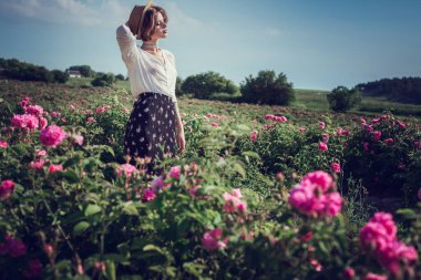 Çiçek serisi. Pembe alan. Kırım'da, Turgenyevka köyü. Bir köylü kızıyla günbatımı, şarap ve güzel kokulu gül bahçesinde kitap okumak sahiptir. Parfüm kavramı