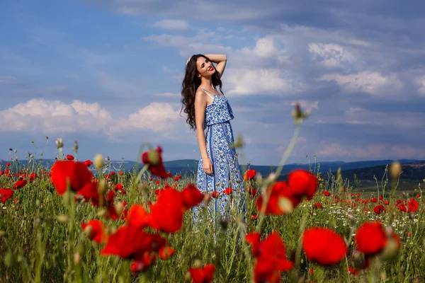 Krásná žena v poli s květy — Stock fotografie