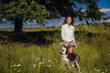 Genç güzel kız bir köpekle oynamayı. Köpekle park üzerinde oynamak. Yakın çekim portre. Siberian dış yapraklar.