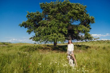 Genç güzel kız bir köpekle oynamayı. Köpekle park üzerinde oynamak. Yakın çekim portre. Siberian dış yapraklar.