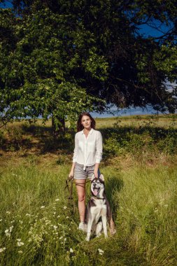 Genç güzel kız bir köpekle oynamayı. Köpekle park üzerinde oynamak. Yakın çekim portre. Siberian dış yapraklar.