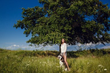 Genç güzel kız bir köpekle oynamayı. Köpekle park üzerinde oynamak. Yakın çekim portre. Siberian dış yapraklar.