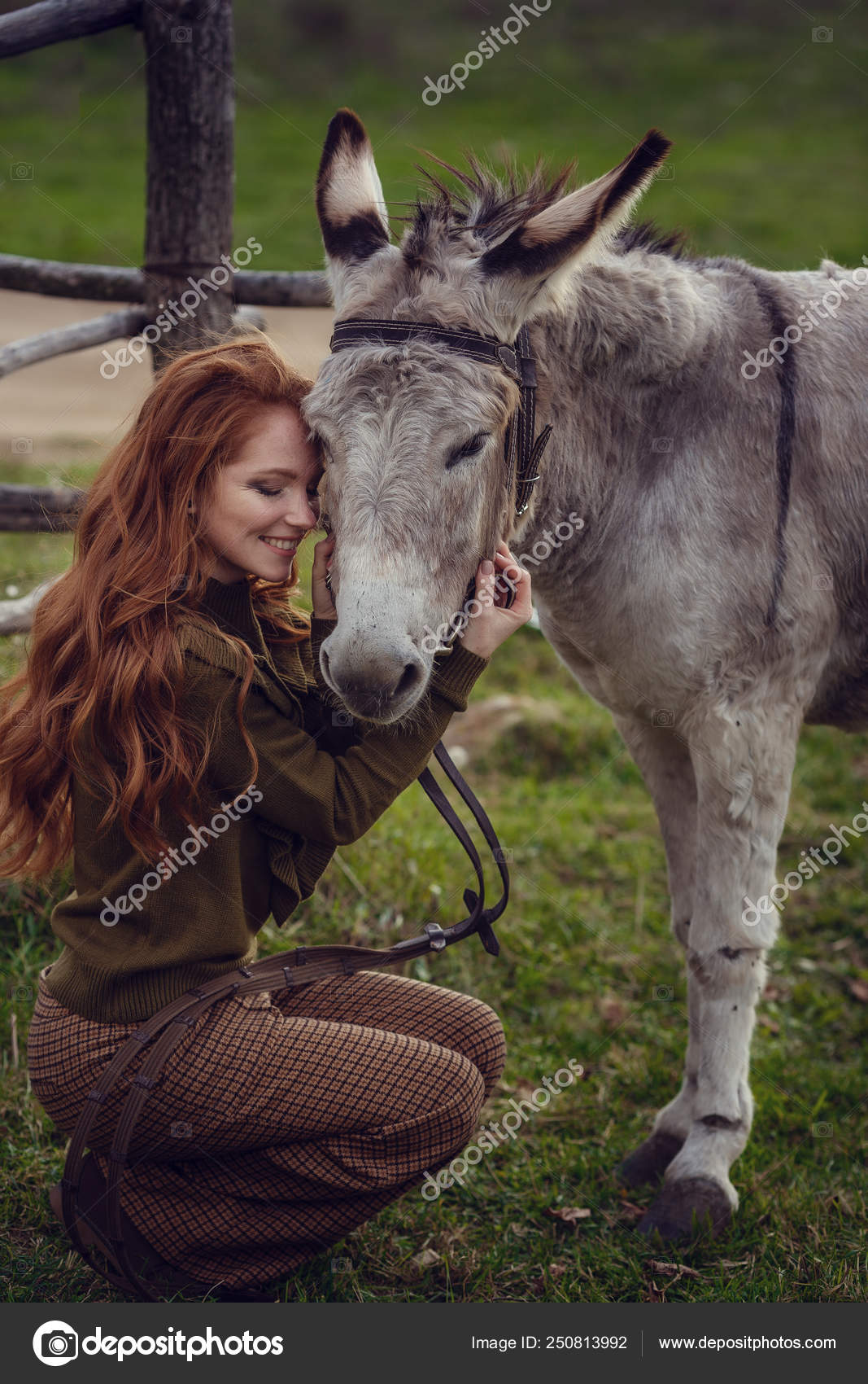 Burro con ropa new arrivals