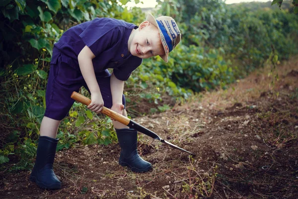 Bello ragazzo dai capelli rossi con lentiggini aiuta in giardino. L'idea e il concetto di scolarizzazione precoce per il lavoro nel giardino dei bambini — Foto Stock