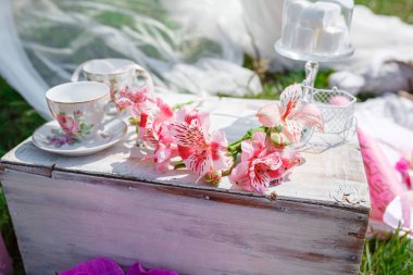 Bir küçük şirin çocuk köşesi alanında bir ağaç gölgesi altında açık havada.