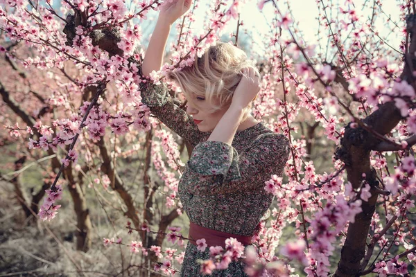 Mode Outdoor-Foto von wunderschönen jungen Frau in elegantem Kleid posiert im Garten mit Blüten Pfirsichbäume — Stockfoto