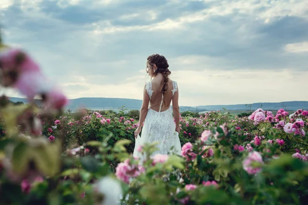 Beautiful woman in a floral park, garden roses. Makeup, hair, a wreath of roses. — Stock Photo, Image