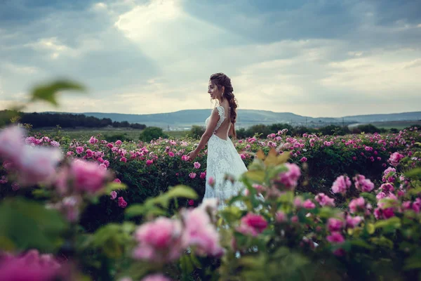 Mulher bonita em um parque floral, rosas de jardim. Maquiagem, cabelo, uma coroa de rosas . — Fotografia de Stock