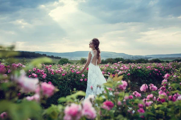 Piękna kobieta w kwiatowym parku, róże ogrodowe. Makijaż, włosy, wieniec róż. — Zdjęcie stockowe