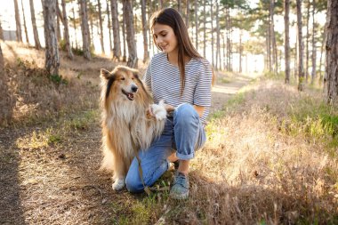 Collie köpek ile yürüyen genç güzel kadın.