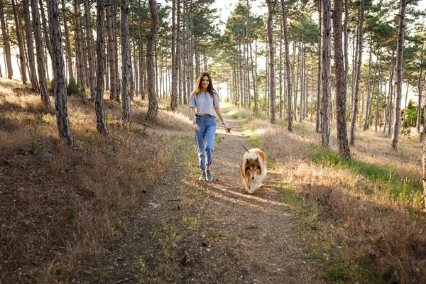 Mooie jongedame met collie hond wandelen. — Stockfoto