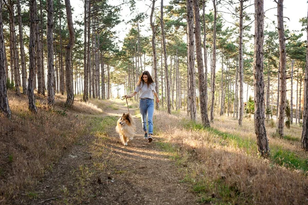 Mooie jongedame met collie hond wandelen. — Stockfoto