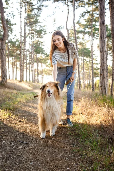 Mooie jongedame met collie hond wandelen. — Stockfoto