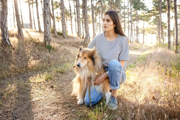 Mooie jongedame met collie hond wandelen. — Stockfoto