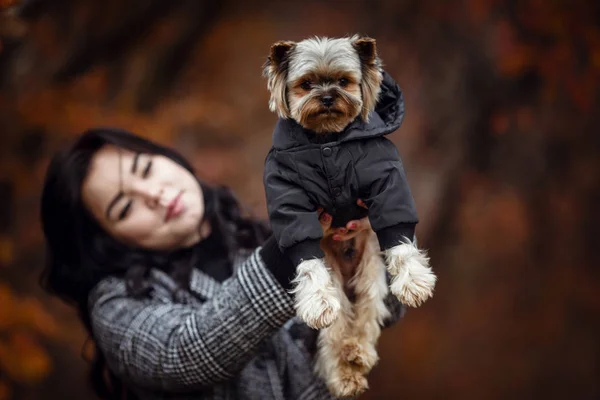 Jeune fille mignonne avec chien terrier yorkshire — Photo