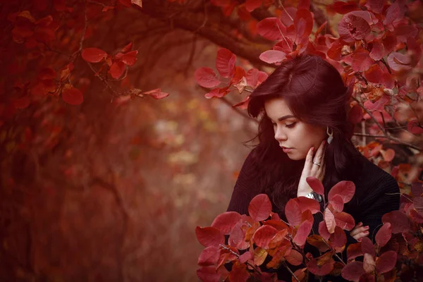 Hermosa mujer de pelo oscuro en el parque de otoño — Foto de Stock