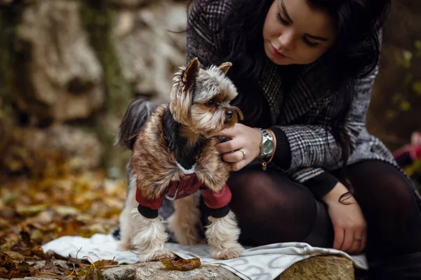 Cute młoda dziewczyna z Yorkshire Terrier pies — Zdjęcie stockowe