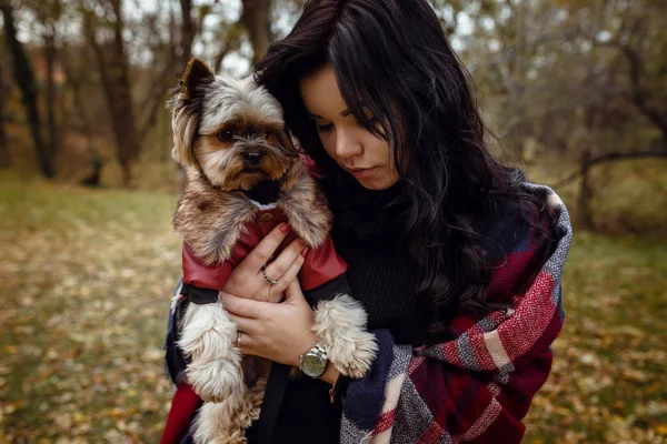 Jeune fille mignonne avec chien terrier yorkshire — Photo