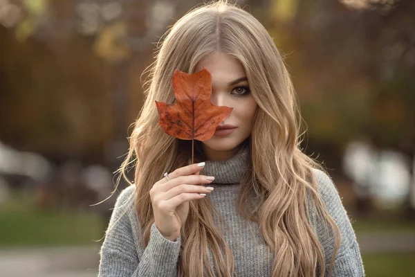 Fall fashion stylish look — Stock Photo, Image