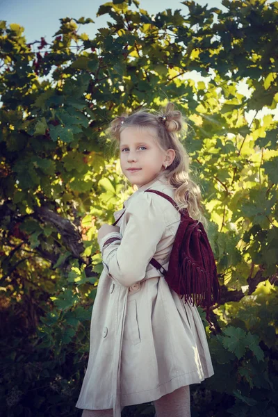 Filles en Septembre pour récolter des vignobles, recueillir les grappes de raisins sélectionnés — Photo