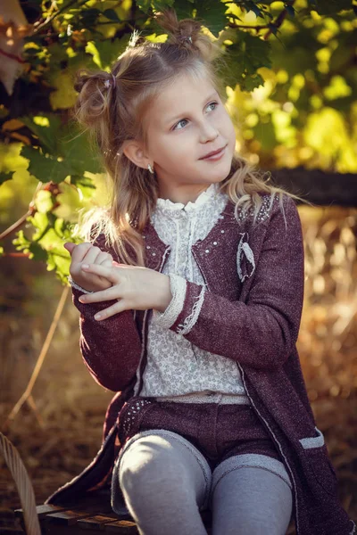 Dívky v září, aby sklízených vinohradů, sbírání vybraných hroznových hroznů — Stock fotografie