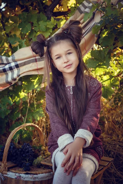 Filles en Septembre pour récolter des vignobles, recueillir les grappes de raisins sélectionnés — Photo