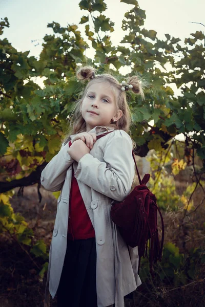 Filles en Septembre pour récolter des vignobles, recueillir les grappes de raisins sélectionnés — Photo