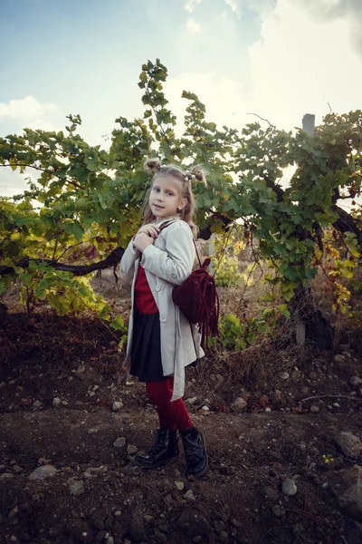 Dívky v září, aby sklízených vinohradů, sbírání vybraných hroznových hroznů — Stock fotografie
