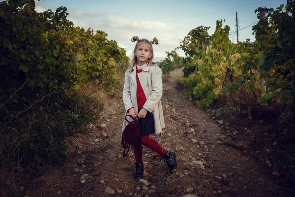 Ragazze nel mese di settembre per raccogliere i vigneti, raccogliere i grappoli d'uva selezionati — Foto Stock