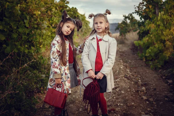 Meninas em setembro para colher vinhas, coletar os cachos de uvas selecionados — Fotografia de Stock