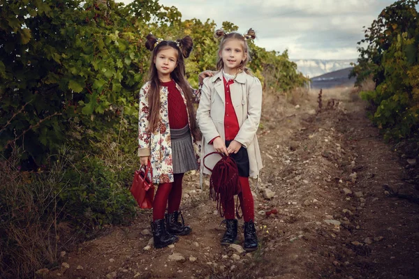 Flickor i september att skörda vin gårdar, samla in de utvalda druva klasar — Stockfoto