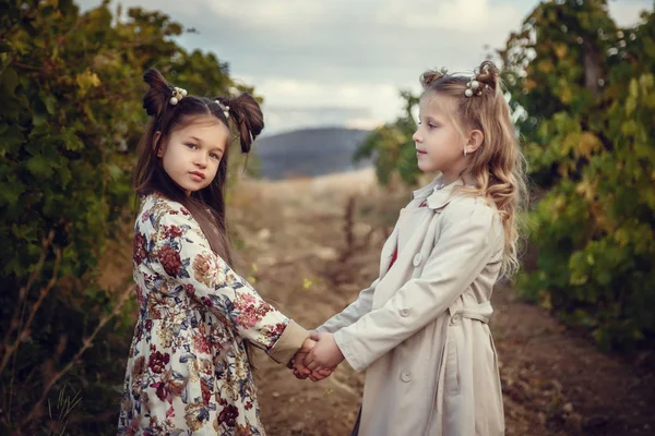 Meninas em setembro para colher vinhas, coletar os cachos de uvas selecionados — Fotografia de Stock