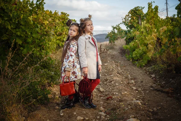 Flickor i september att skörda vin gårdar, samla in de utvalda druva klasar — Stockfoto