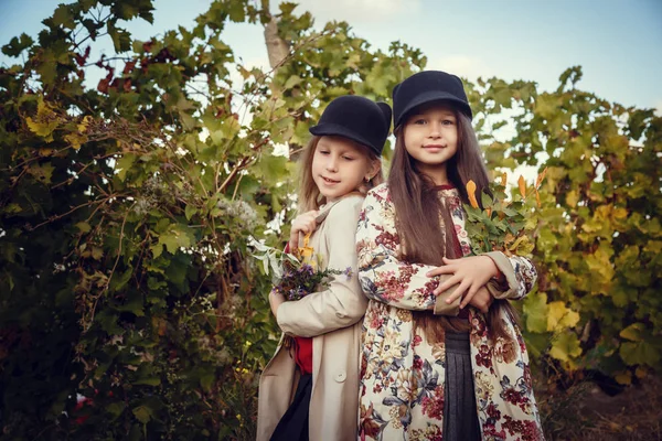 Meninas em setembro para colher vinhas, coletar os cachos de uvas selecionados — Fotografia de Stock