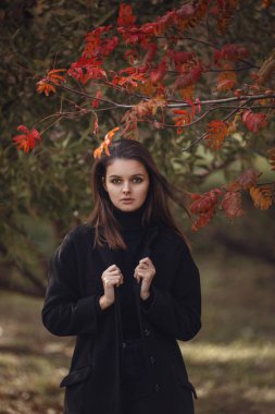 Güzel bir genç esmer siyah bir kazak ve ceket sonbahar Parkı boyunca yürür,