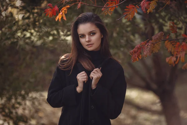 Una hermosa morena joven camina por el parque de otoño en un suéter negro y abrigo , — Foto de Stock