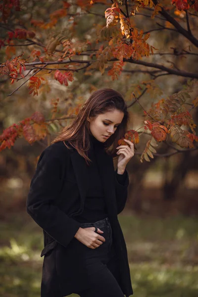 Egy szép fiatal barna sétál át az őszi parkban egy fekete pulóvert és kabát, — Stock Fotó