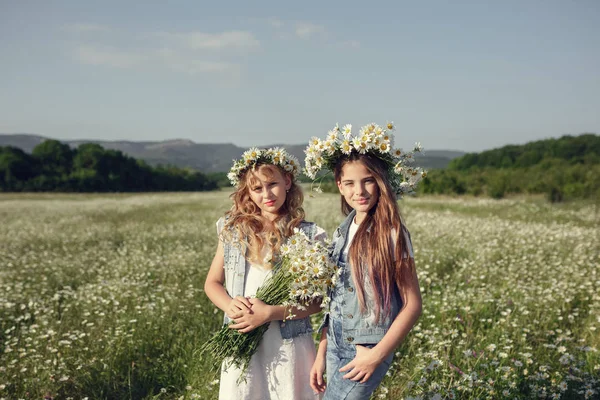 Liten flicka i ett fält av daisy blommor — Stockfoto