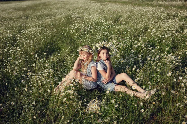 Klein meisje in een veld van Daisy Flowers — Stockfoto