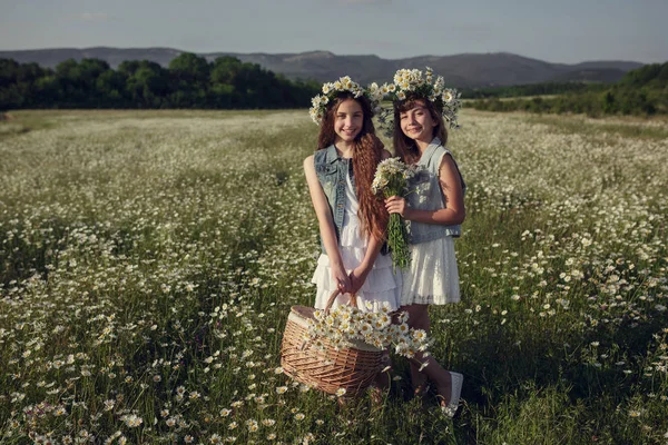 Klein meisje in een veld van Daisy Flowers — Stockfoto