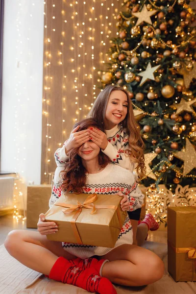 Feliz Navidad y felices fiestas. Los amigos se divierten —  Fotos de Stock