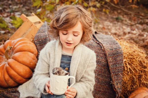 Sevimli bir kızın elinde küçük kirpi