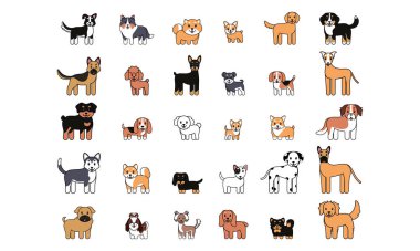 Mutlu bir köpek takımı.