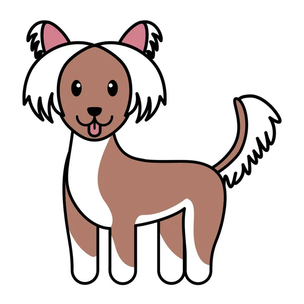 Vereinzelte Hundekarikatur — Stockvektor