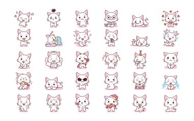 İzole edilmiş kedi resimleri