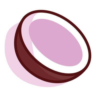 İzole hindistan cevizi meyvesi